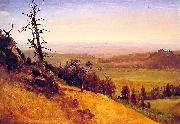 Albert Bierstadt Newbraska Wasatch Mountains Sweden oil painting artist